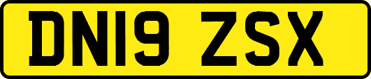 DN19ZSX