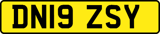 DN19ZSY