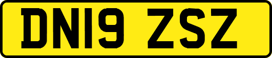 DN19ZSZ