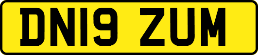 DN19ZUM