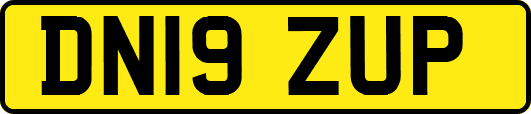 DN19ZUP