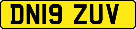 DN19ZUV