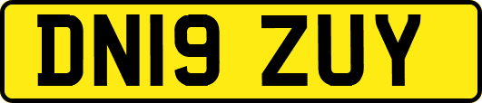 DN19ZUY