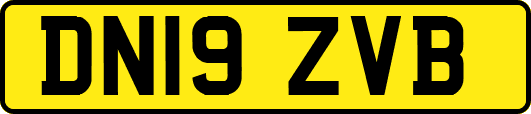 DN19ZVB