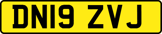 DN19ZVJ