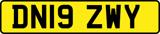 DN19ZWY
