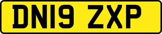 DN19ZXP