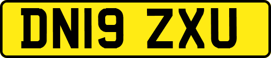 DN19ZXU
