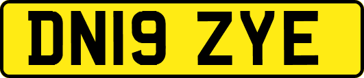 DN19ZYE