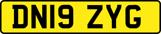 DN19ZYG