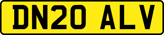 DN20ALV