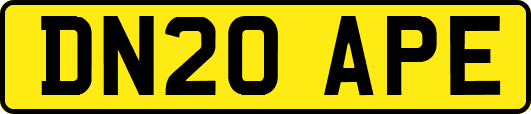 DN20APE