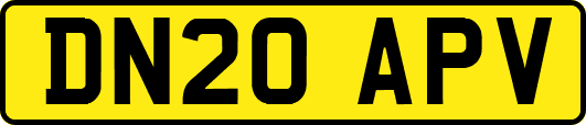 DN20APV