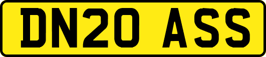DN20ASS