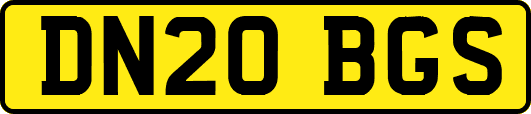 DN20BGS