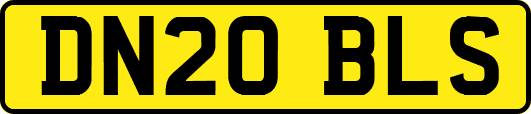 DN20BLS