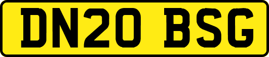 DN20BSG