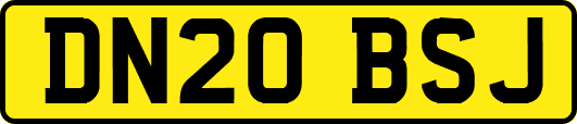 DN20BSJ