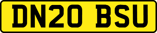 DN20BSU