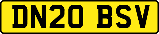 DN20BSV