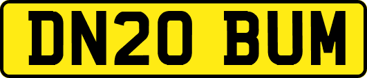 DN20BUM
