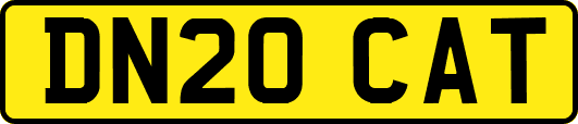 DN20CAT