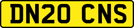 DN20CNS