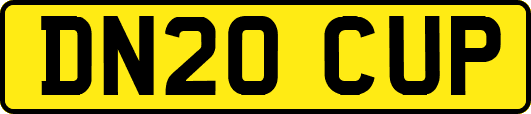 DN20CUP