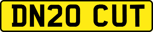 DN20CUT