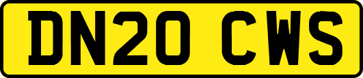 DN20CWS