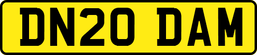 DN20DAM