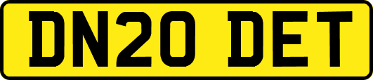 DN20DET