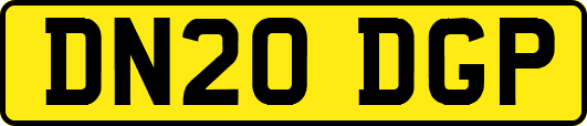 DN20DGP