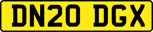 DN20DGX
