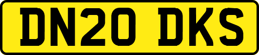 DN20DKS