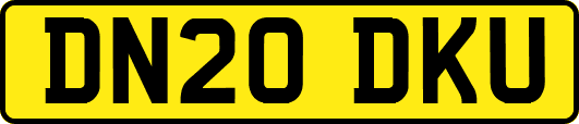 DN20DKU