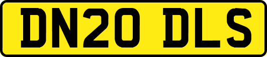 DN20DLS