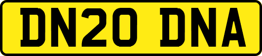 DN20DNA