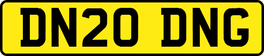DN20DNG