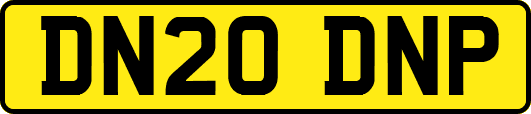 DN20DNP