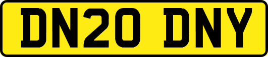 DN20DNY