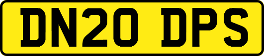 DN20DPS