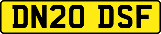 DN20DSF