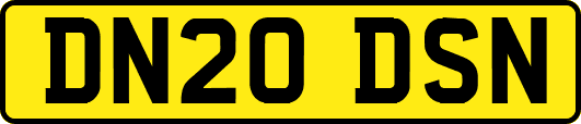 DN20DSN
