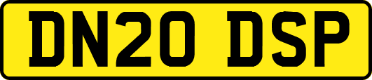 DN20DSP