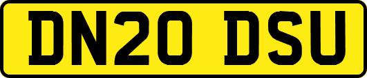 DN20DSU