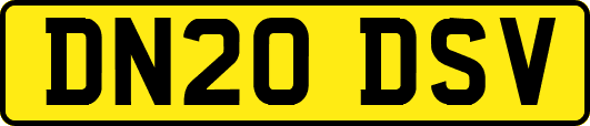 DN20DSV