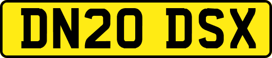 DN20DSX