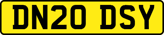 DN20DSY