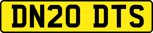 DN20DTS